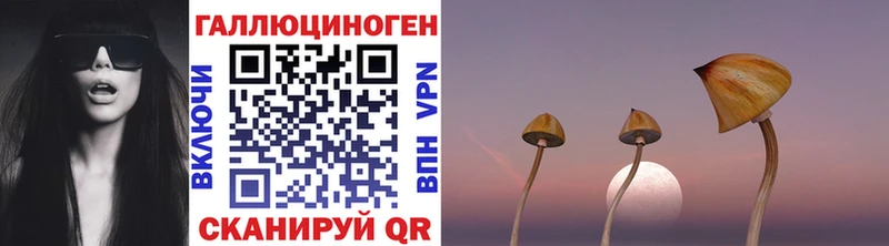 Купить  Апатиты  Псилоцибиновые грибы мицелий 